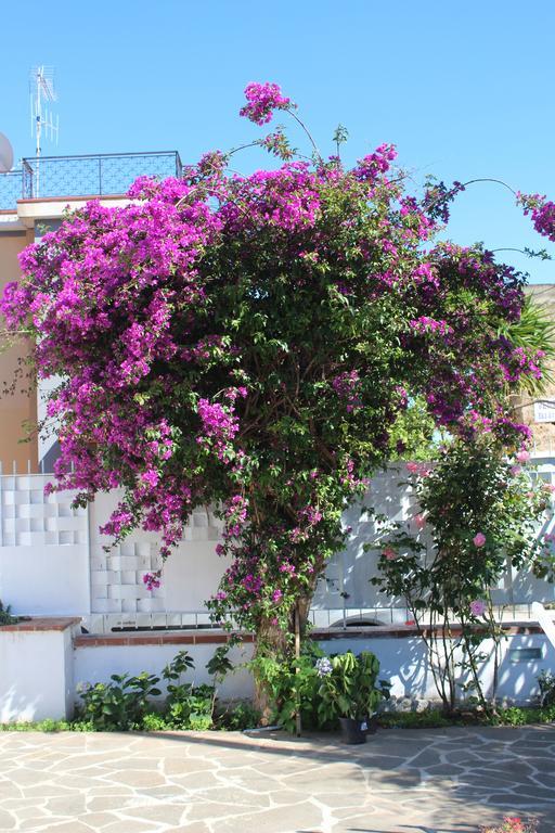 Casa Agrumeto - Locazione Turistica Mondello Habitación foto