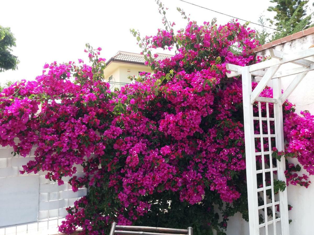 Casa Agrumeto - Locazione Turistica Mondello Exterior foto